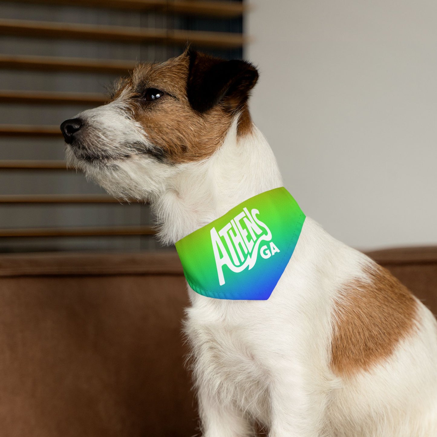 Athens Pride Rainbow Pet Bandana Collar
