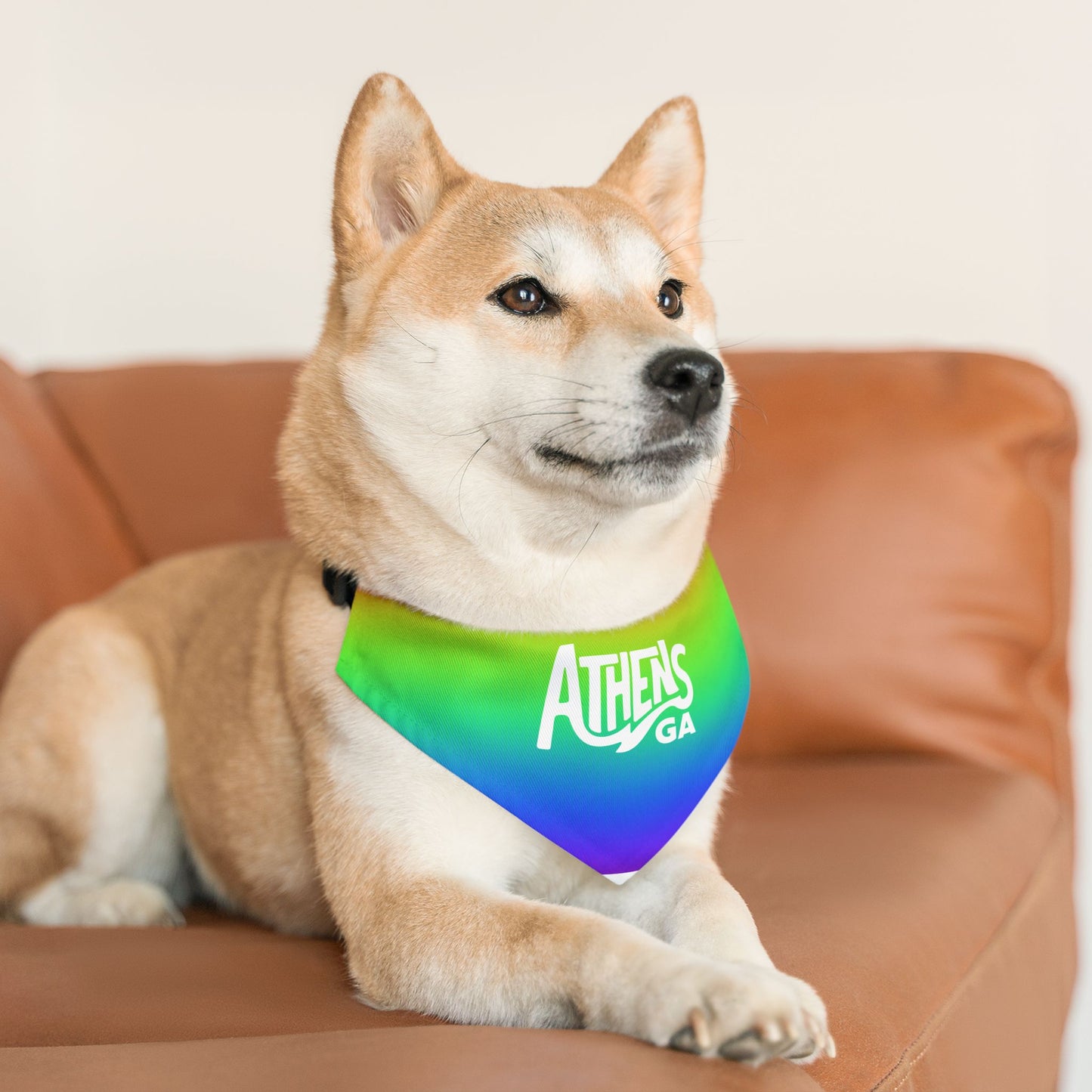 Athens Pride Rainbow Pet Bandana Collar