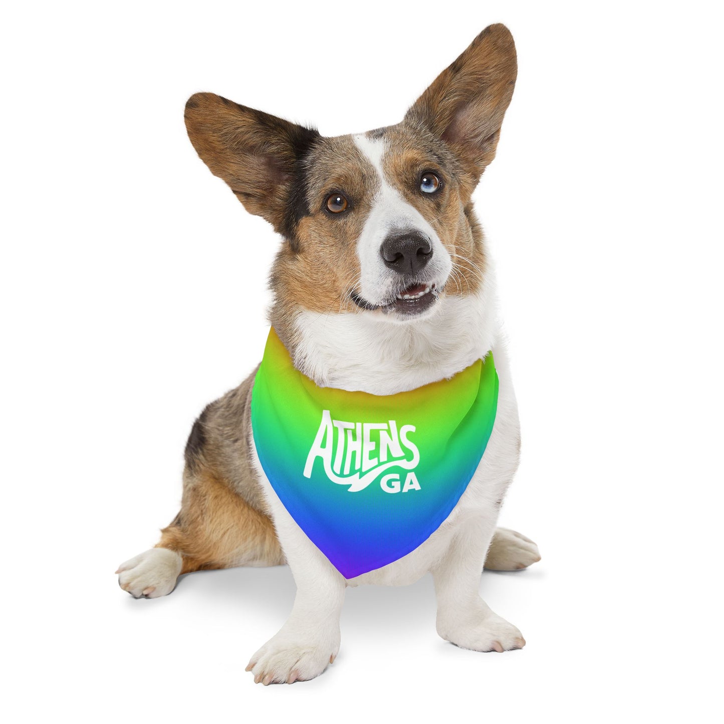 Athens Pride Rainbow Pet Bandana Collar