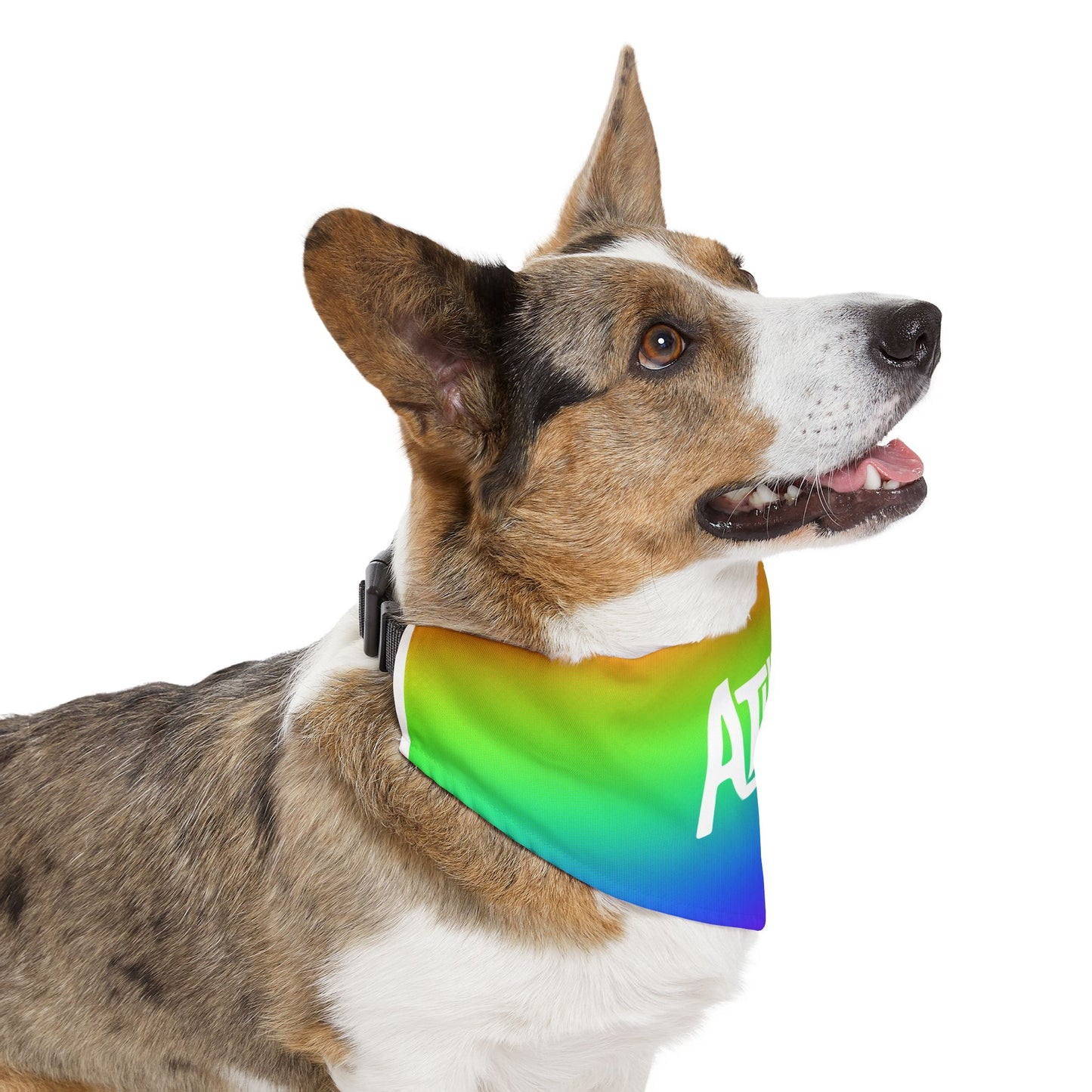 Athens Pride Rainbow Pet Bandana Collar