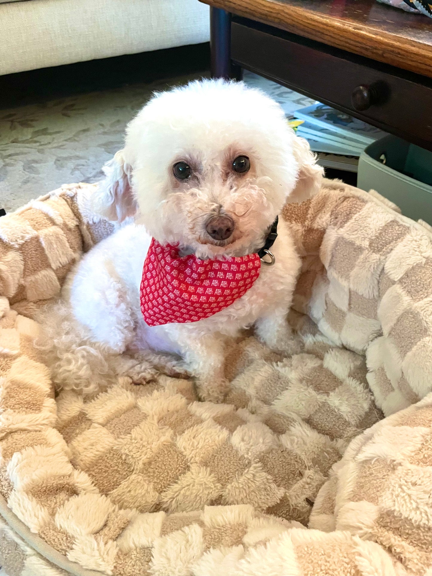 Athens GA "ATH" Pet Bandana Collar