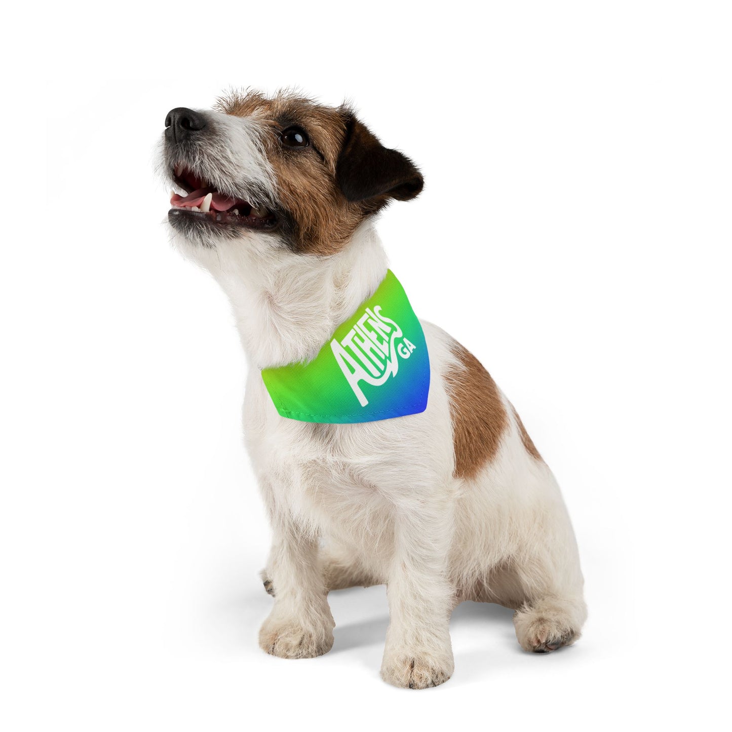 Athens Pride Rainbow Pet Bandana Collar